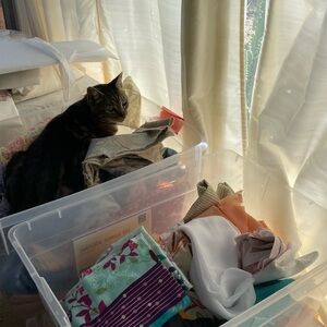 Meet your Posher, Isabella